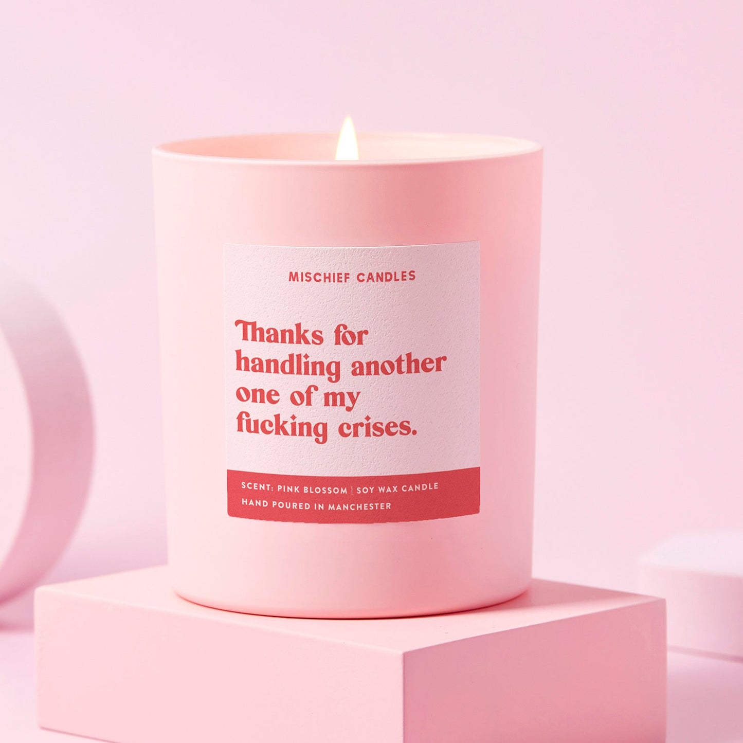 Funny Thank You Gift Soy Wax Candle Handling Another Crisis