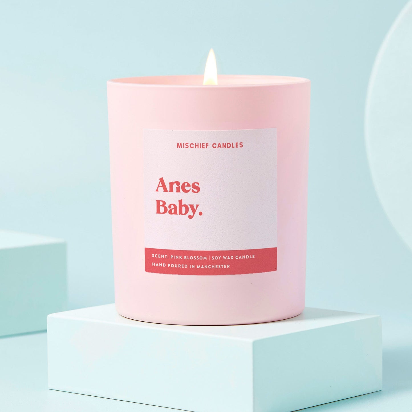 Aries Birthday Gift Funny Zodiac Candle Aries Baby