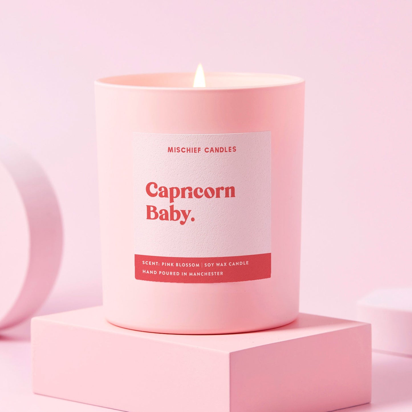 Capricorn Birthday Gift Funny Zodiac Candle Capricorn Baby