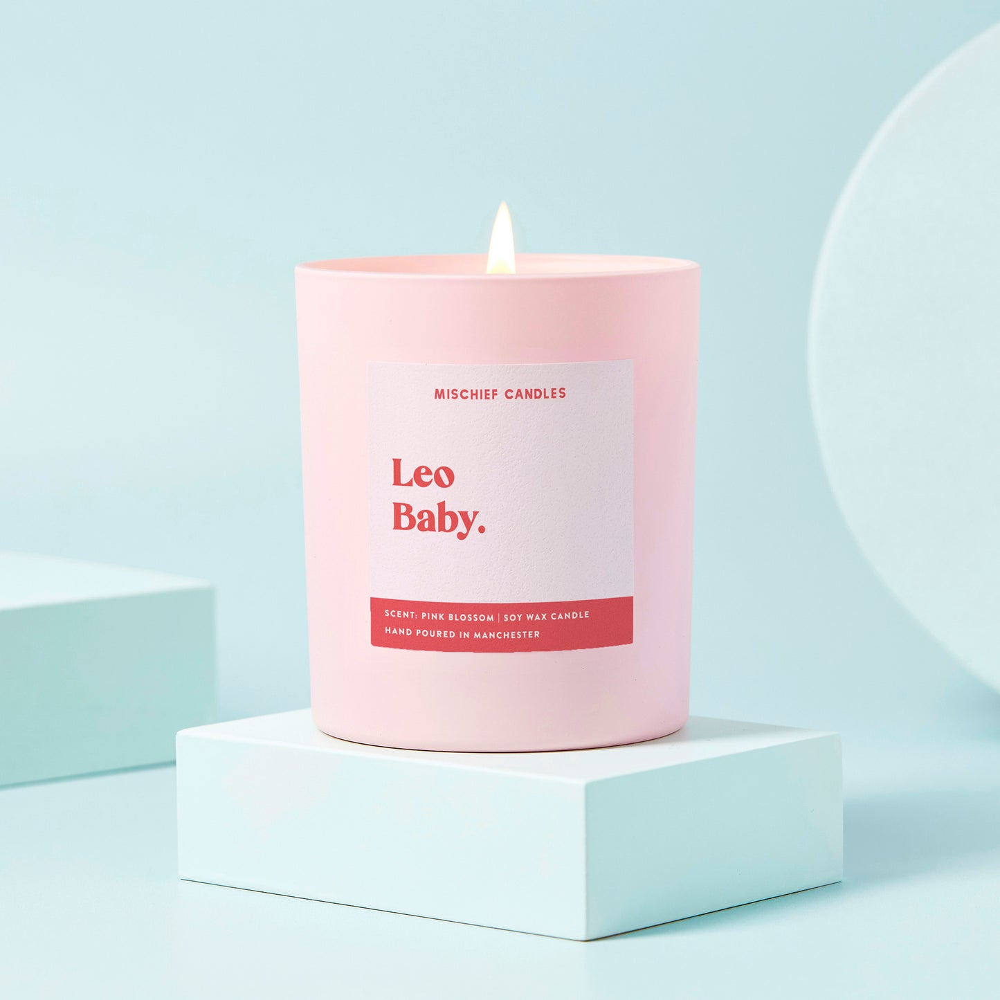 Leo Birthday Gift Funny Zodiac Birthday Candle Leo Baby