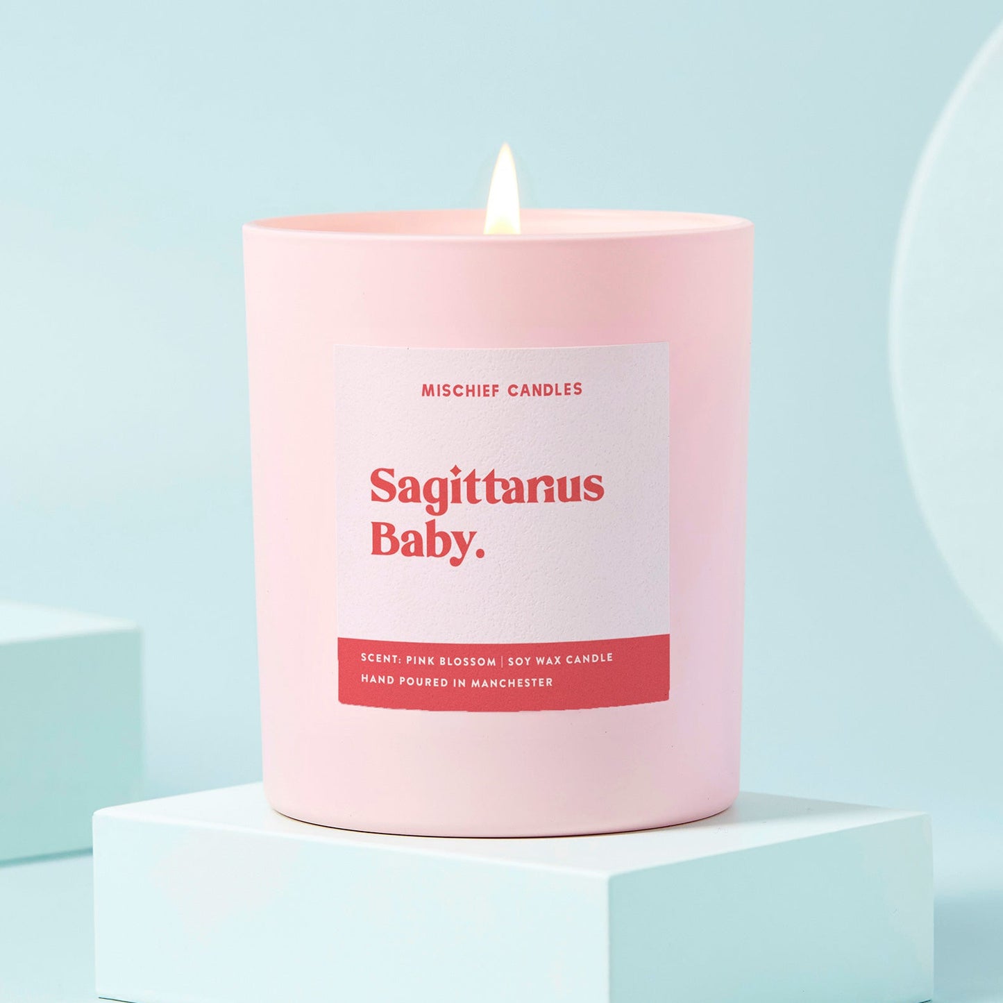 Sagittarius Birthday Gift Funny Zodiac Candle Sagittarius Baby