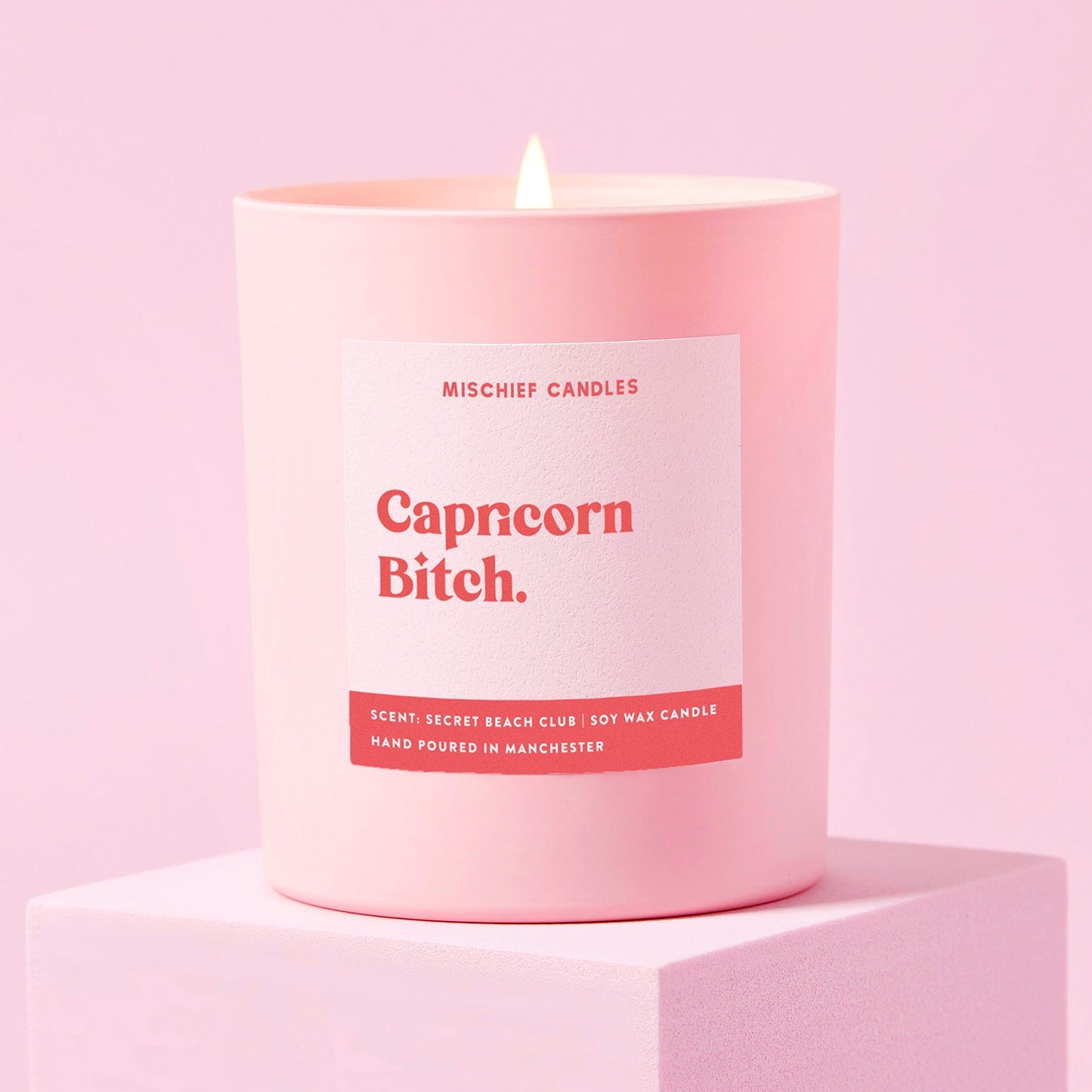 Capricorn Birthday Gift Funny Zodiac Candle Capricorn Bitch