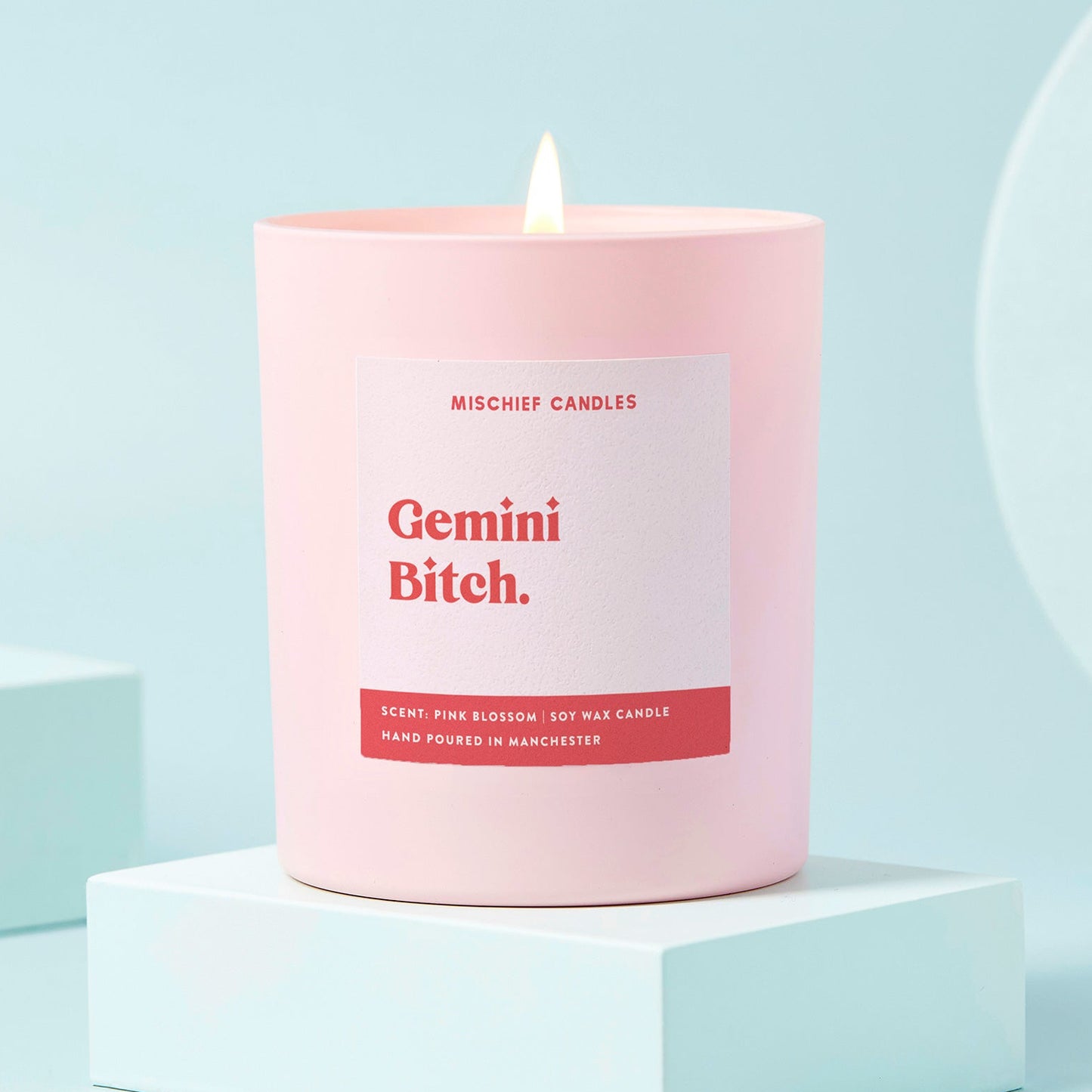 Gemini Birthday Gift Funny Zodiac Candle Gemini Bitch