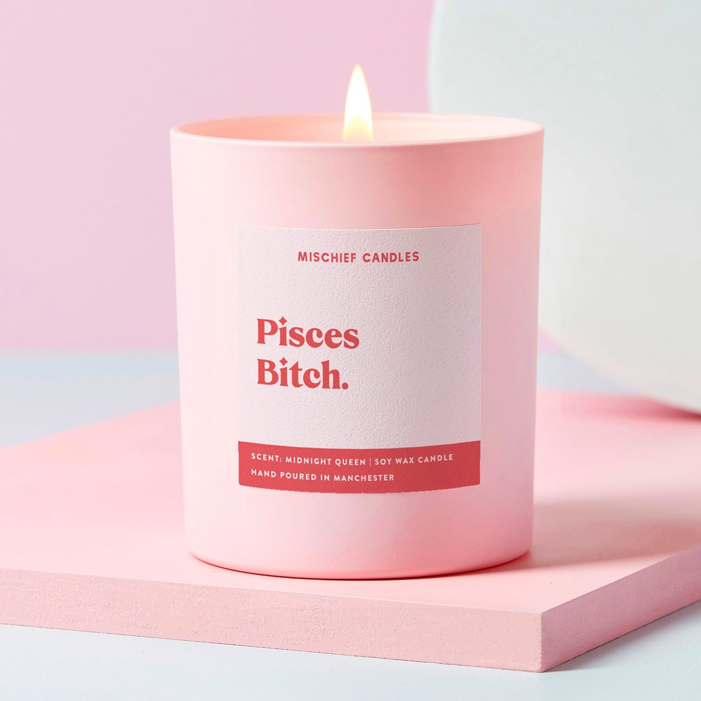 Pisces Birthday Gift Funny Zodiac Birthday Pisces Bitch