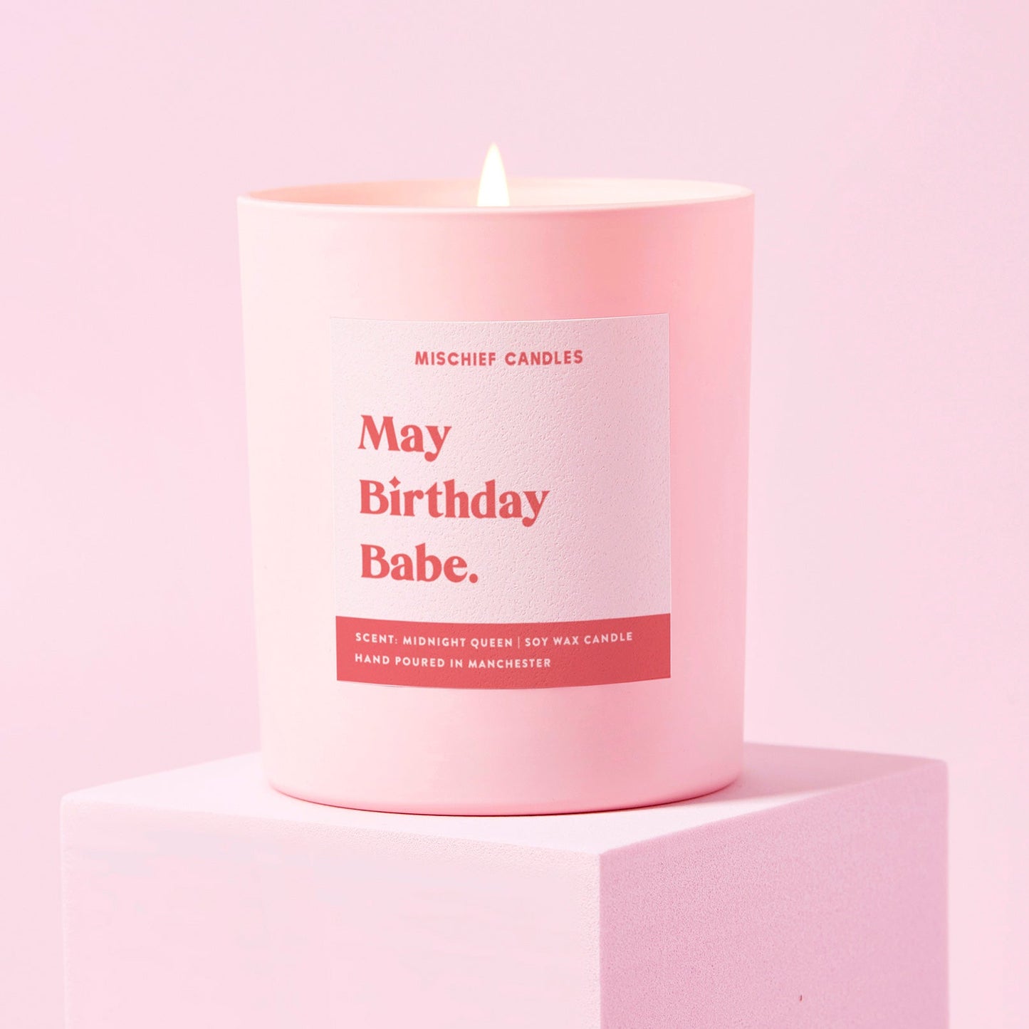 May Birthday Gift Funny Gift Candle May Birthday Babe