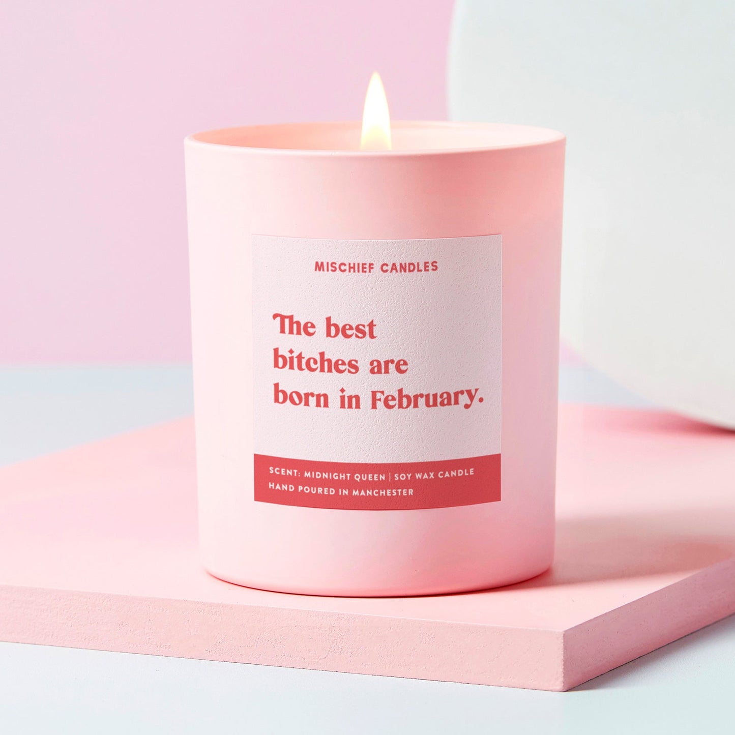 February Birthday Gift Funny Birthday Gift Candle February Birthday Bitch