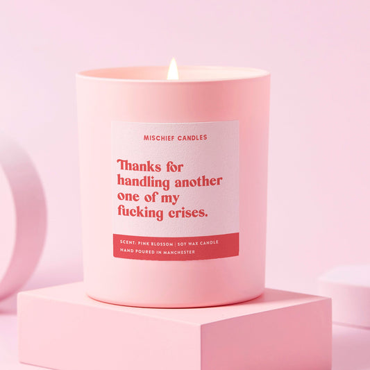 Funny Thank You Gift Soy Wax Candle Handling Another Crisis