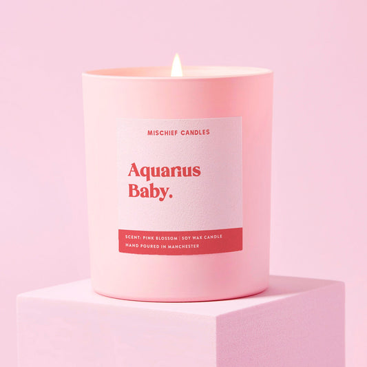 Aquarius Birthday Gift Funny Zodiac Candle Aquarius Baby