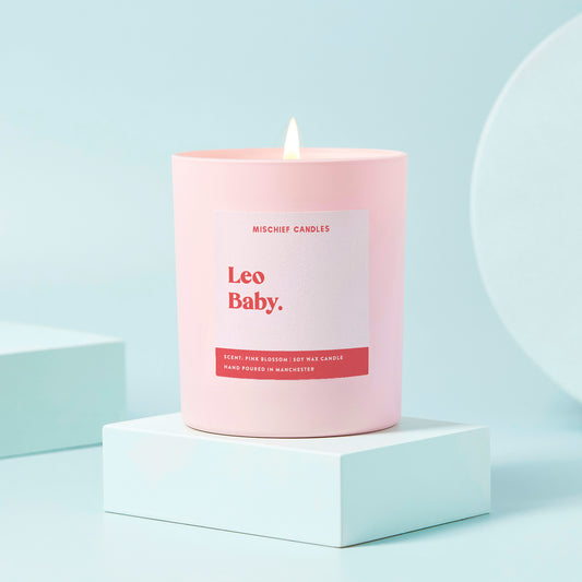 Leo Birthday Gift Funny Zodiac Birthday Candle Leo Baby