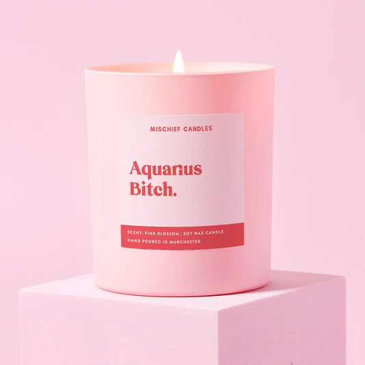 Aquarius Birthday Gift Funny Zodiac Candle Aquarius Bitch