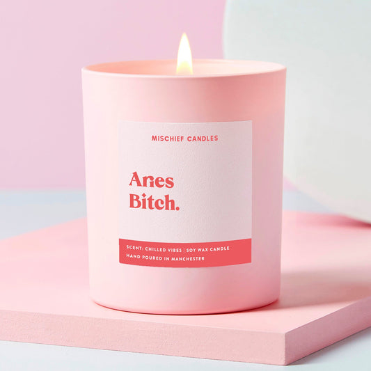 Aries Birthday Gift Funny Zodiac Candle Aries Bitch