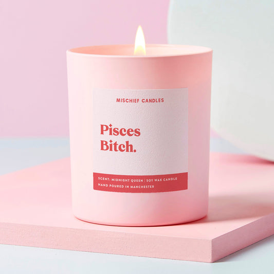 Pisces Birthday Gift Funny Zodiac Birthday Pisces Bitch