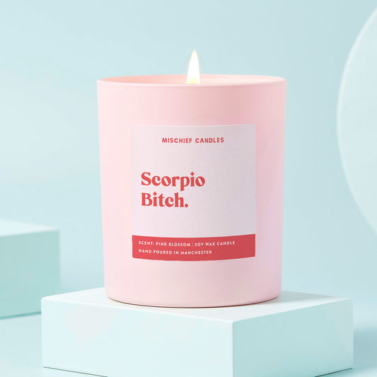 Scorpio Birthday Gift Funny Zodiac Candle Scorpio Bitch