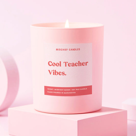 Teacher Gift Funny Teacher Gift Candle Cool Teacher Vibes