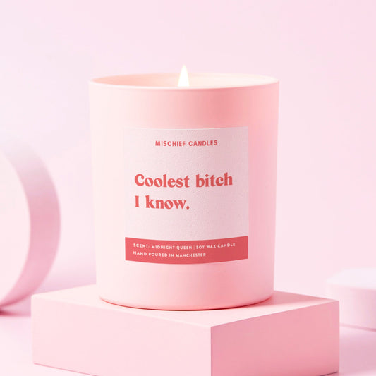 Friendship Gift Funny Gift For Her Candle Coolest Bitch I Know