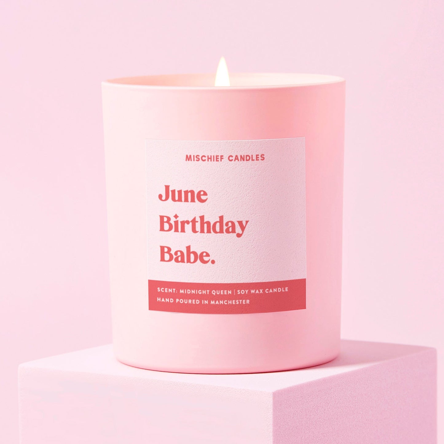 June Birthday Gift Funny Gift Candle June Birthday Babe