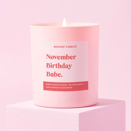 November Birthday Gift Funny Birthday Gift Candle November Birthday Bitch