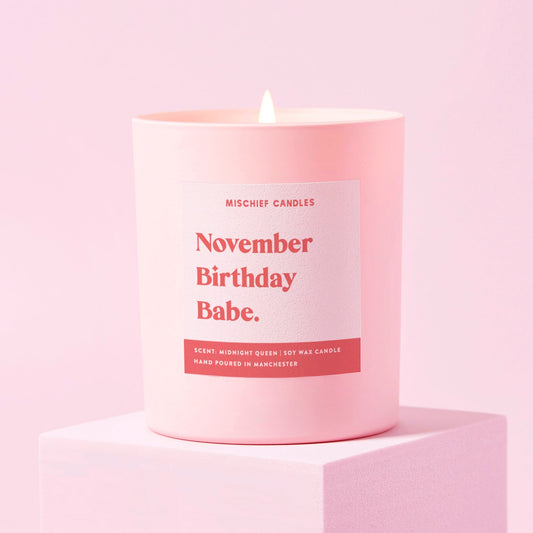 November Birthday Gift Funny Gift Candle November Birthday Babe