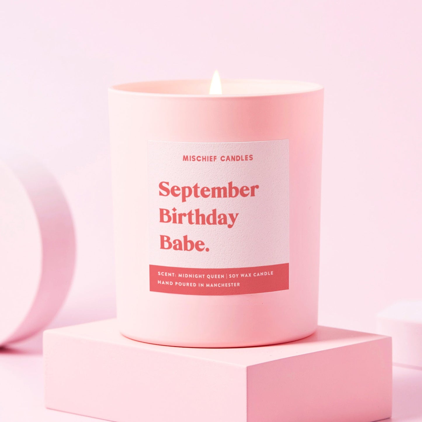 September Birthday Gift Funny Gift Candle September Birthday Babe