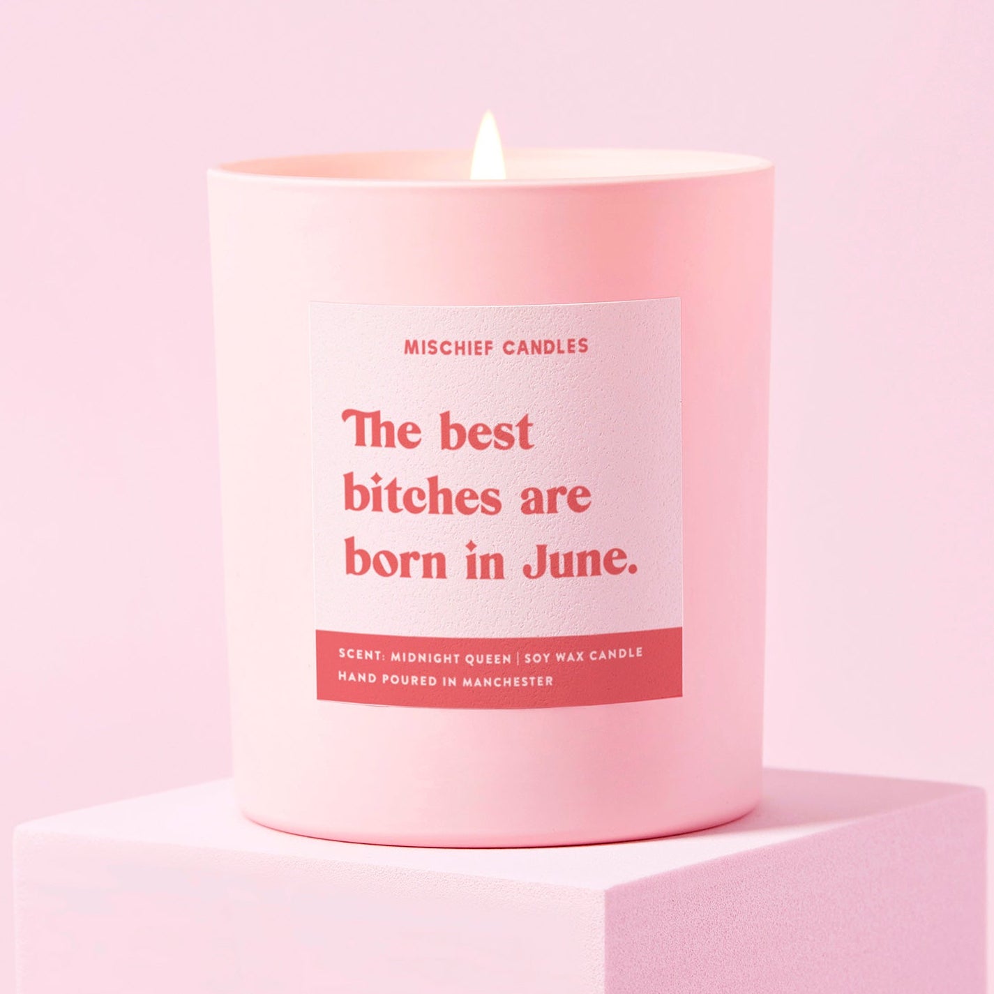 June Birthday Gift Funny Birthday Gift Candle June Birthday Bitch