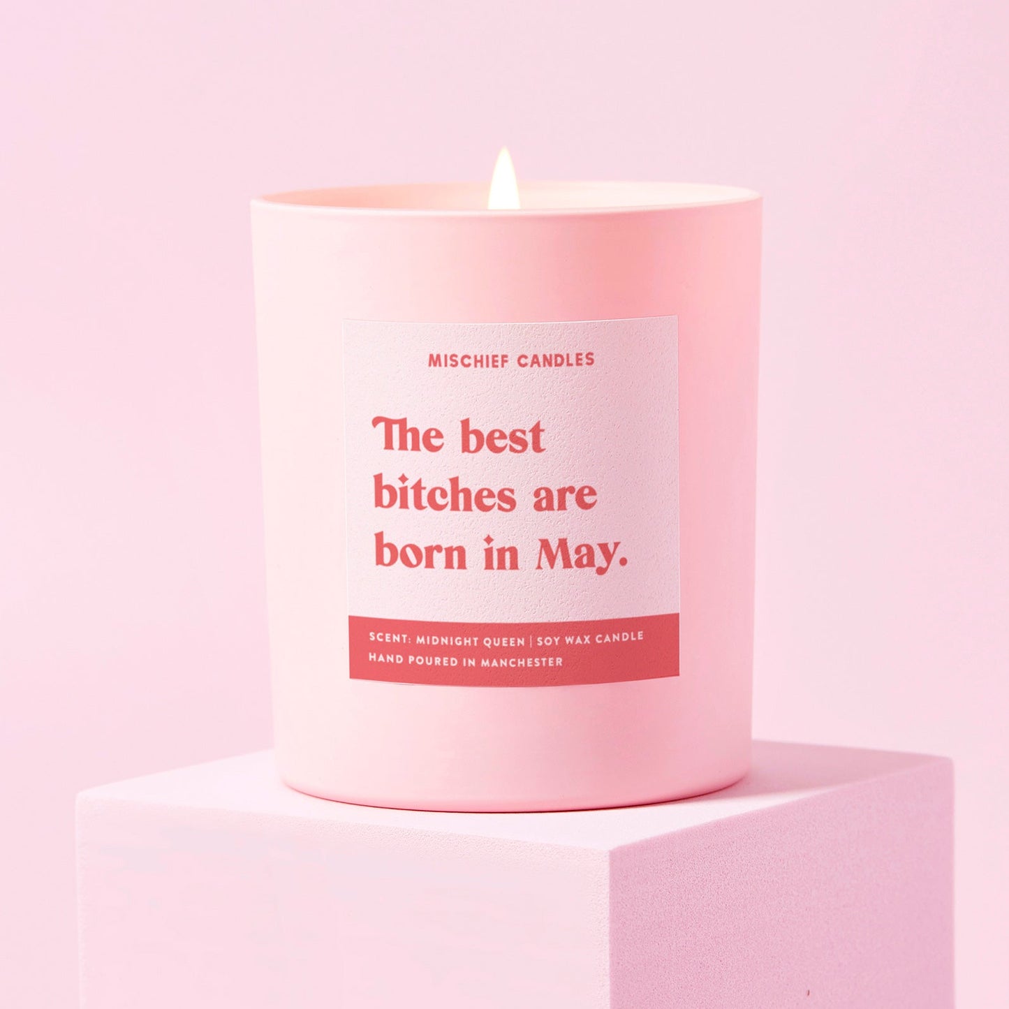 May Birthday Gift Funny Birthday Gift Candle May Birthday Bitch
