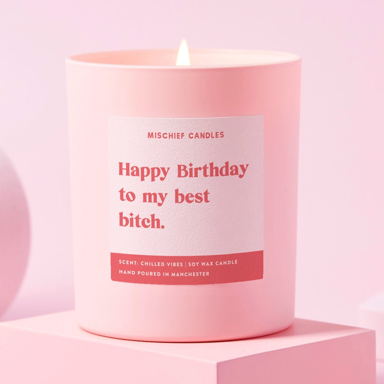 Funny Birthday Gift Candle Happy Birthday To My Best Bitch