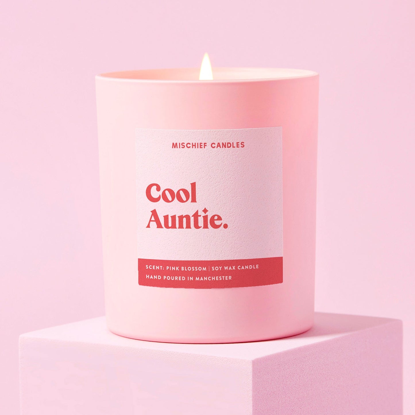 Auntie Gift Funny Auntie to Be Gift Candle Cool Auntie