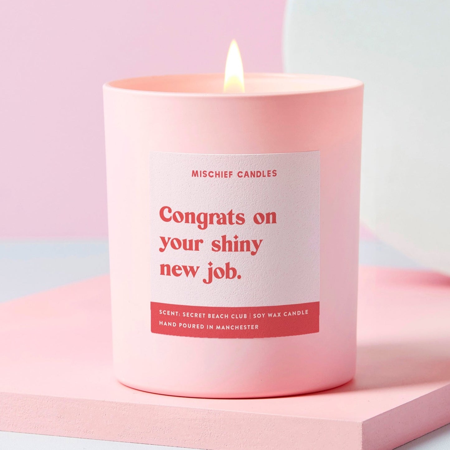 Funny New Job Gift Congrats On Your Shiny New Job