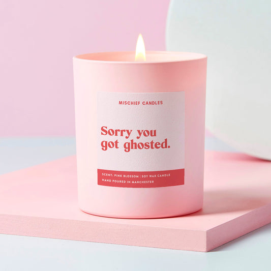 Funny Break Up Gift Sorry You Got Ghosted